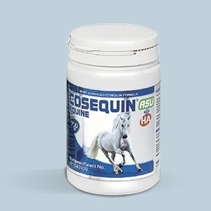 Cosequin® HA & ASU Plus Equine Pulver Konzentrat
